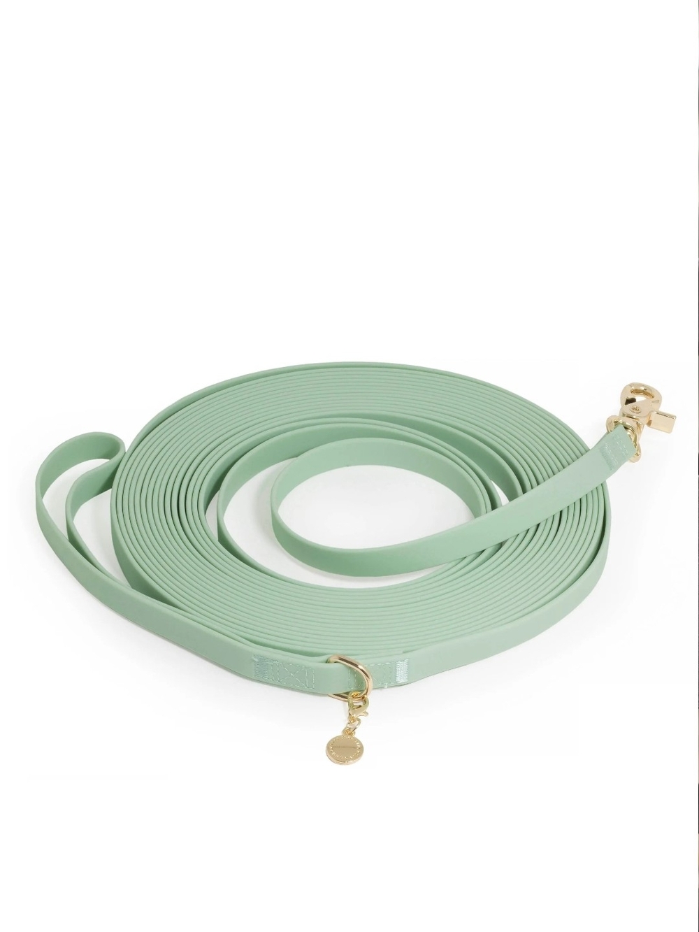 Mint Green Dog Leash with Gold Hardware